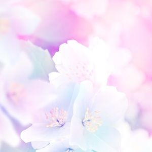 Meet your Posher, Berkeley